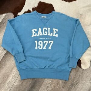 American Eagle Blue Oversized Sweater